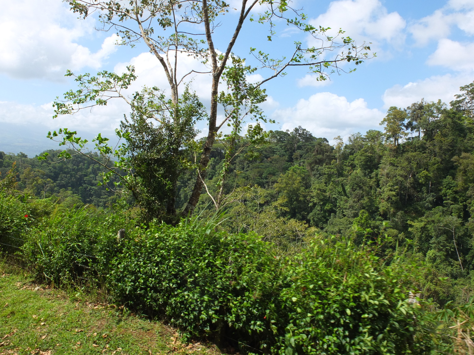 Picture Costa Rica Turrialba 2015-03 58 - Views Turrialba