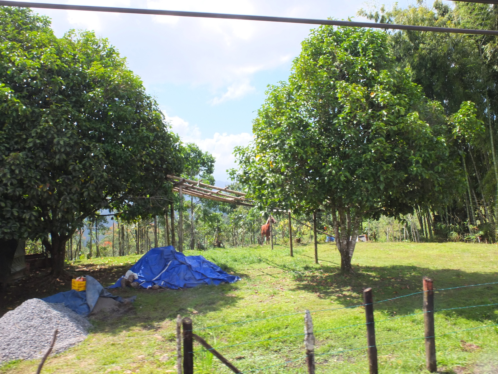 Picture Costa Rica Turrialba 2015-03 54 - Flight Turrialba