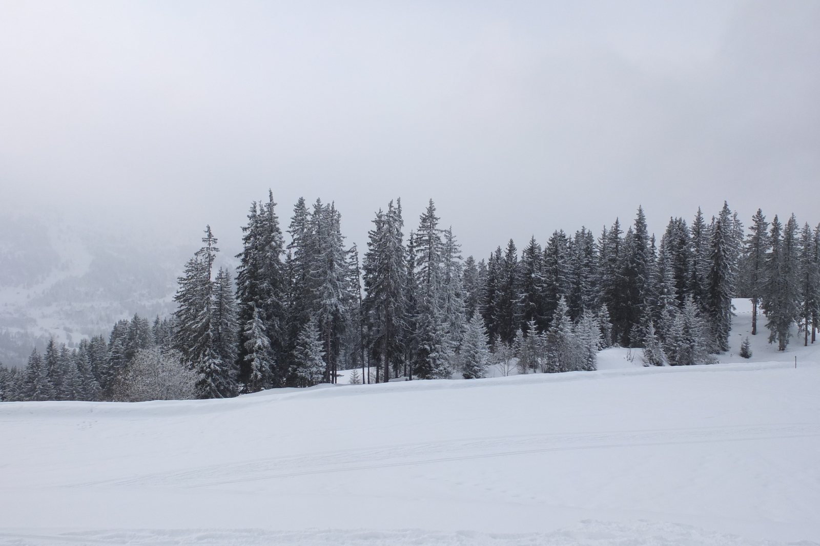 Picture France Les 3 Vallees 2013-03 369 - Tourist Les 3 Vallees