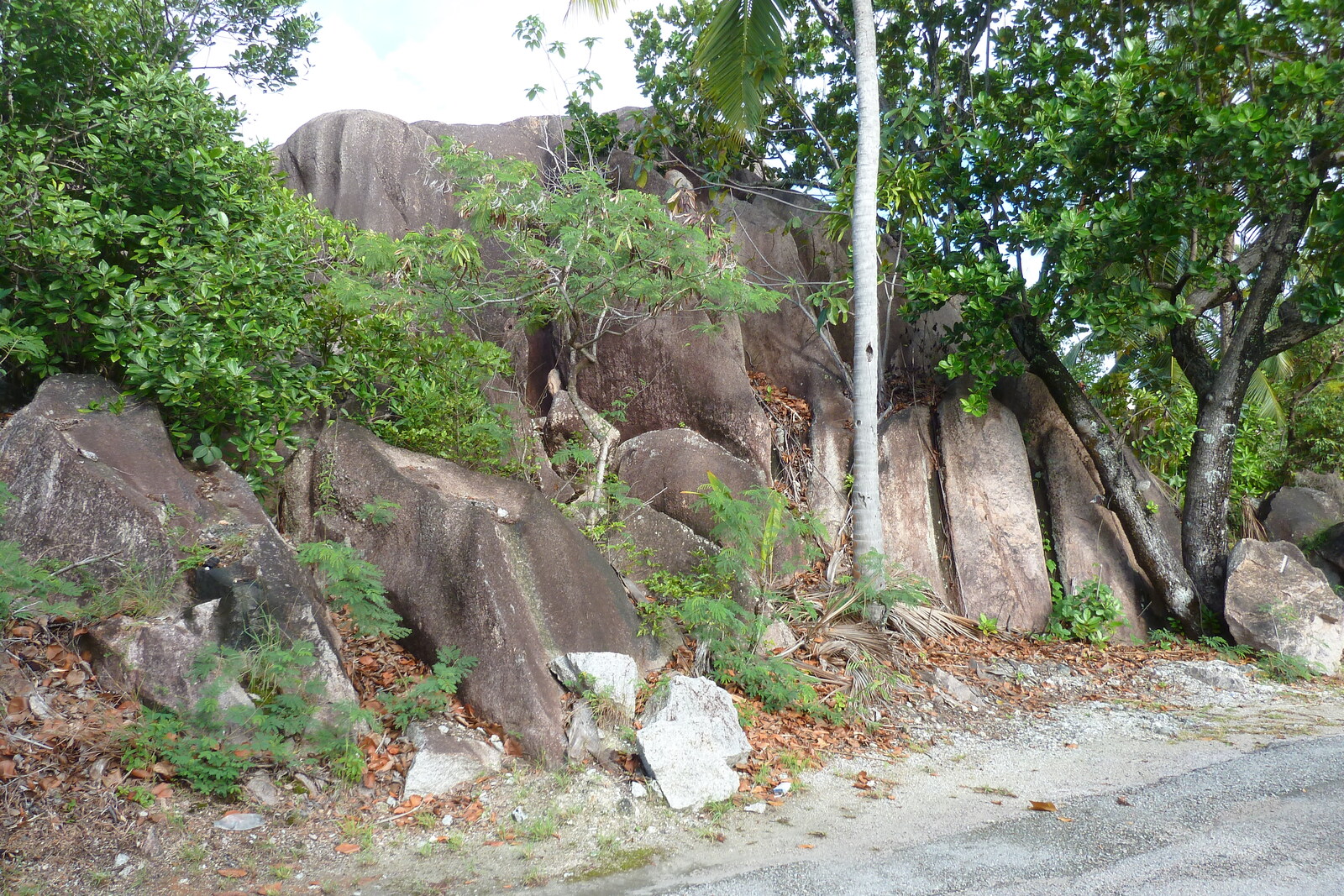 Picture Seychelles Praslin 2011-10 2 - Flight Praslin