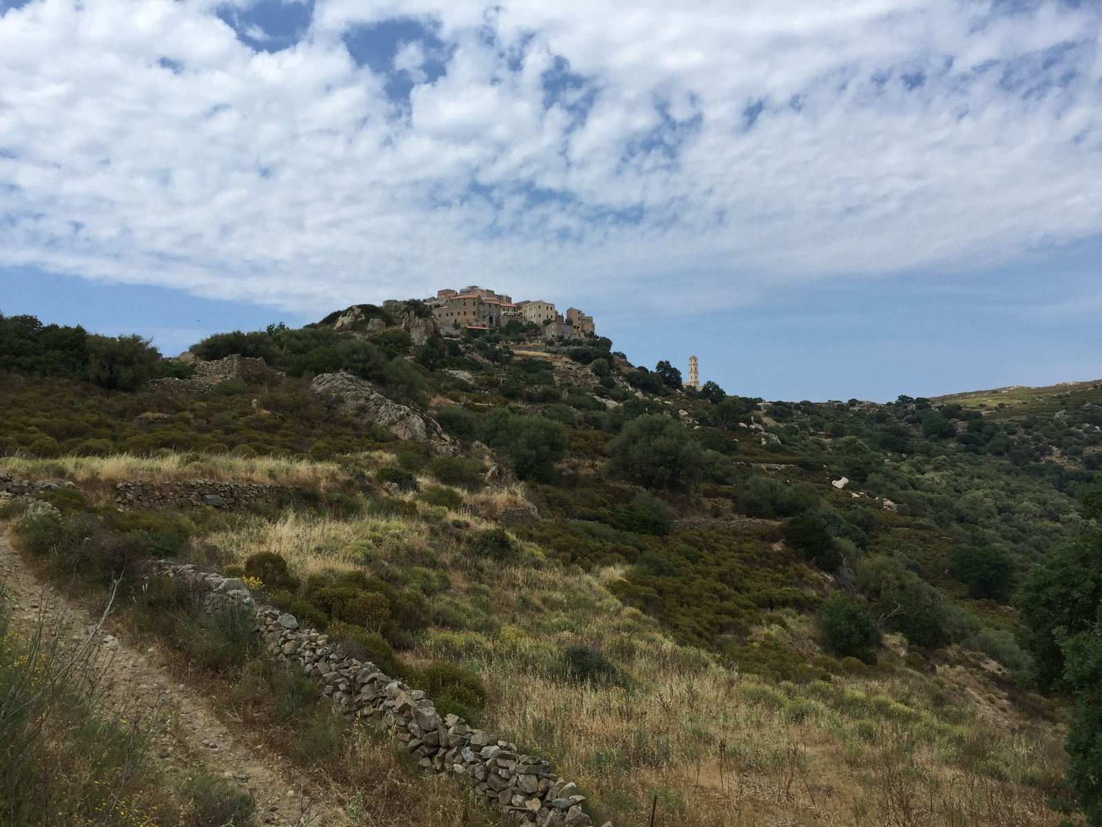 Picture France Corsica Sant'Antonino 2015-05 25 - Pictures Sant'Antonino