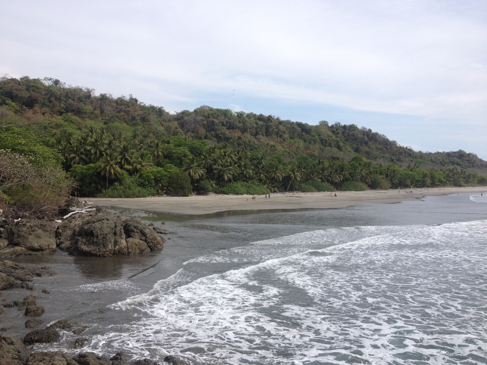 Picture Costa Rica Montezuma 2015-03 263 - Sight Montezuma