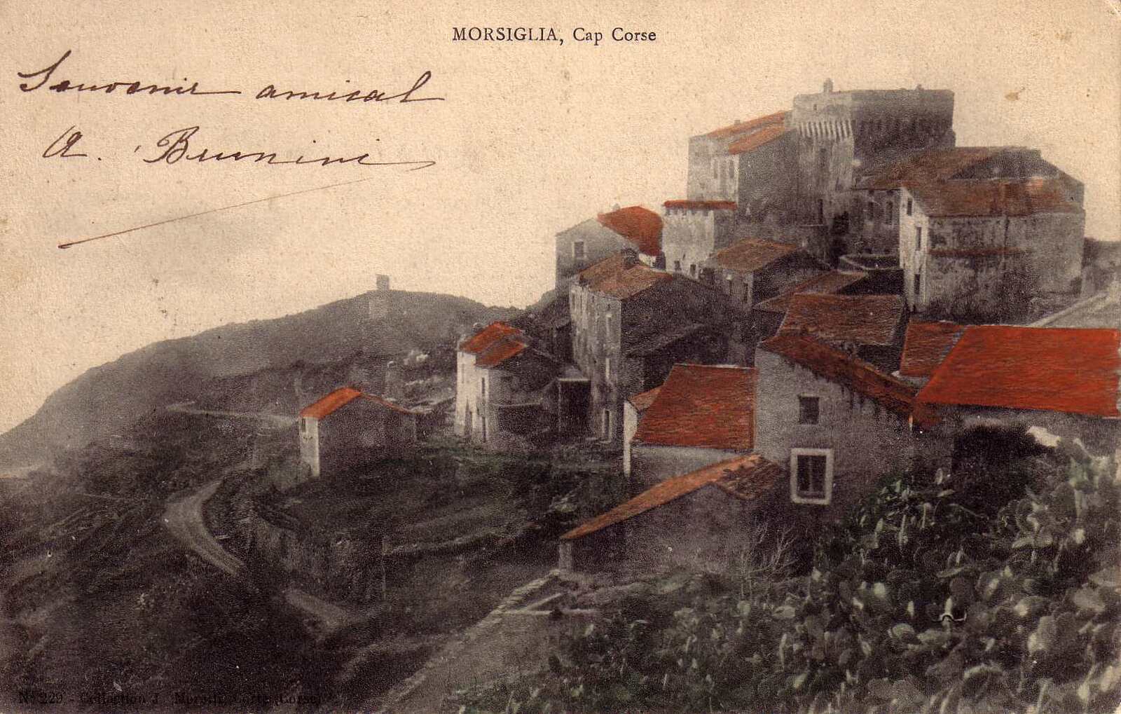 Picture France Corsica Old Postcards 1900-01 96 - Flight Old Postcards