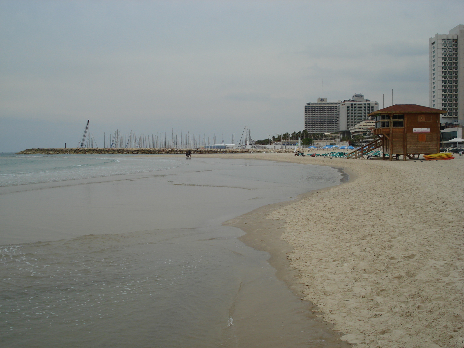 Picture Israel Tel Aviv Tel Aviv Sea Shore 2006-12 13 - Road Tel Aviv Sea Shore