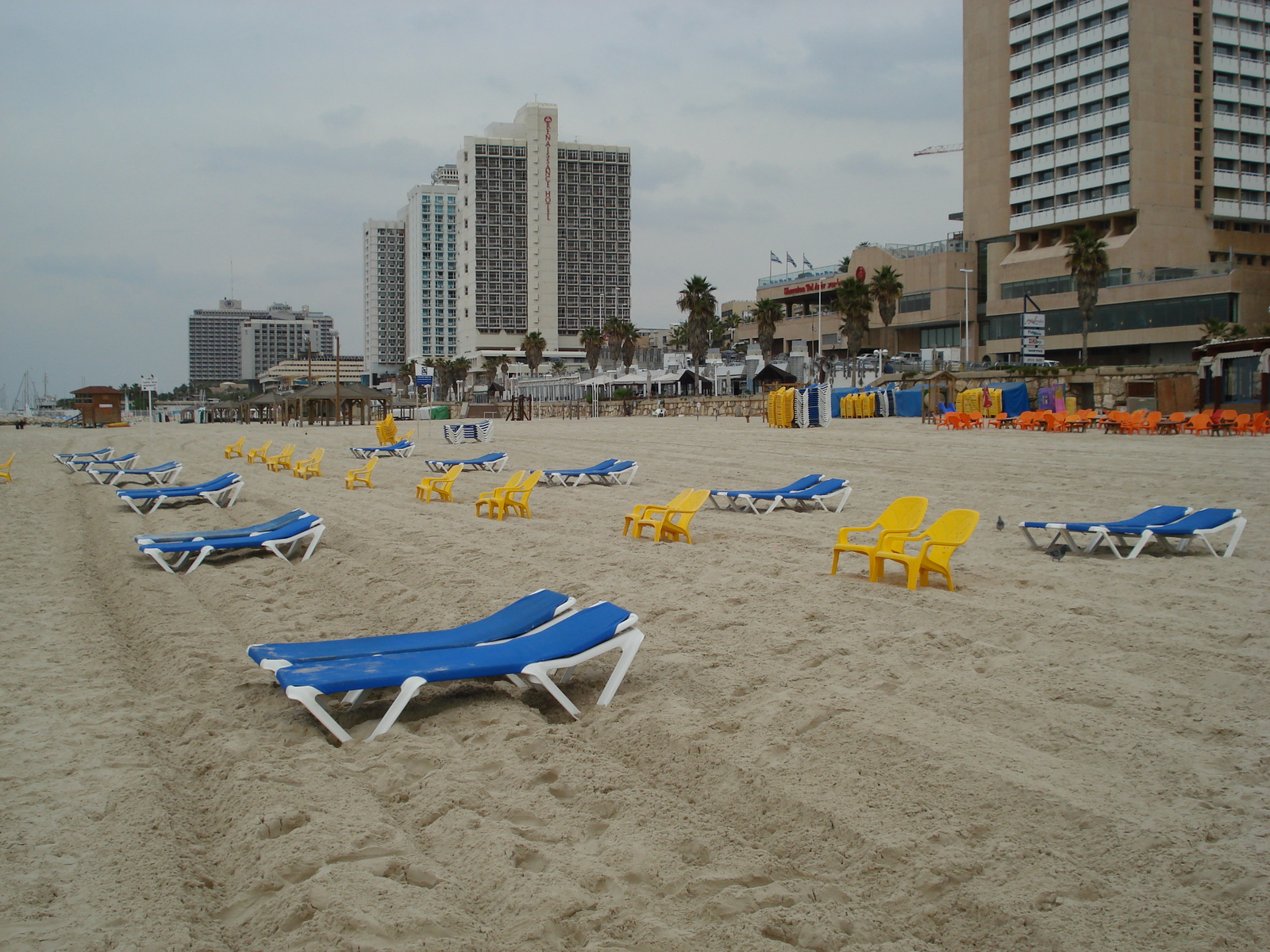 Picture Israel Tel Aviv Tel Aviv Sea Shore 2006-12 66 - Sightseeing Tel Aviv Sea Shore