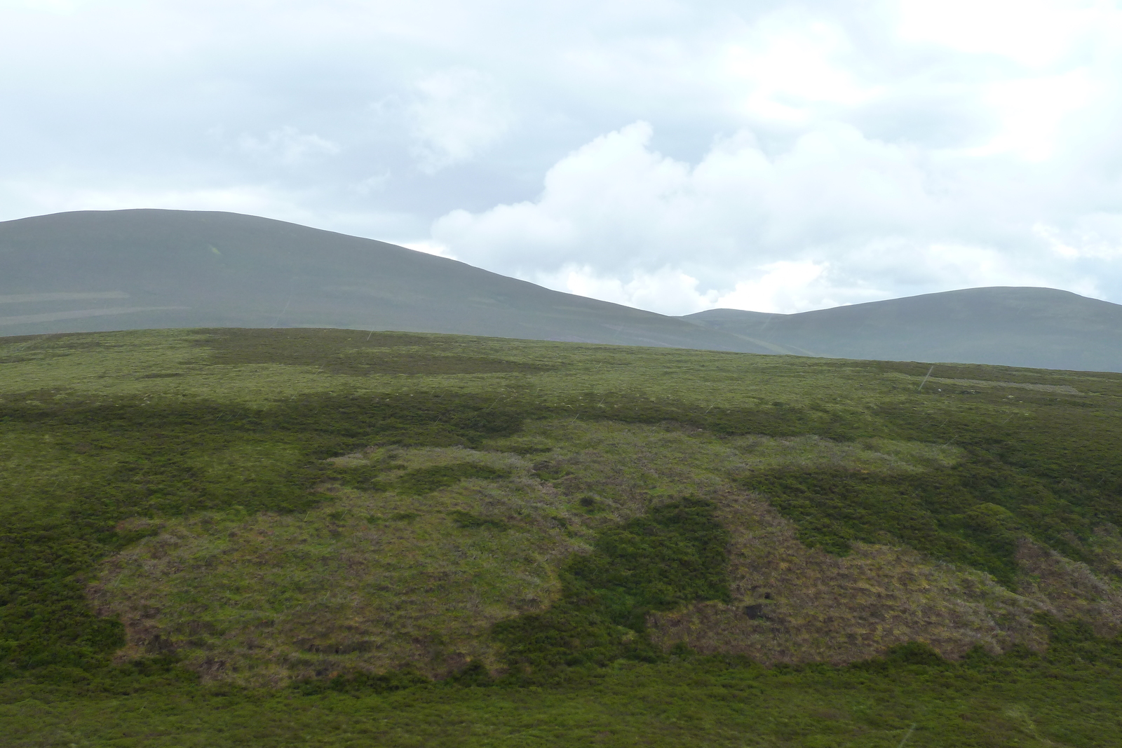 Picture United Kingdom Cairngorms National Park 2011-07 134 - Perspective Cairngorms National Park