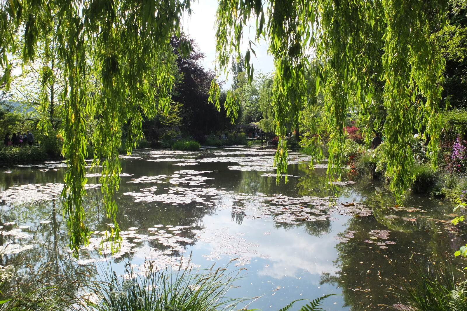 Picture France Giverny 2013-06 83 - Tourist Giverny