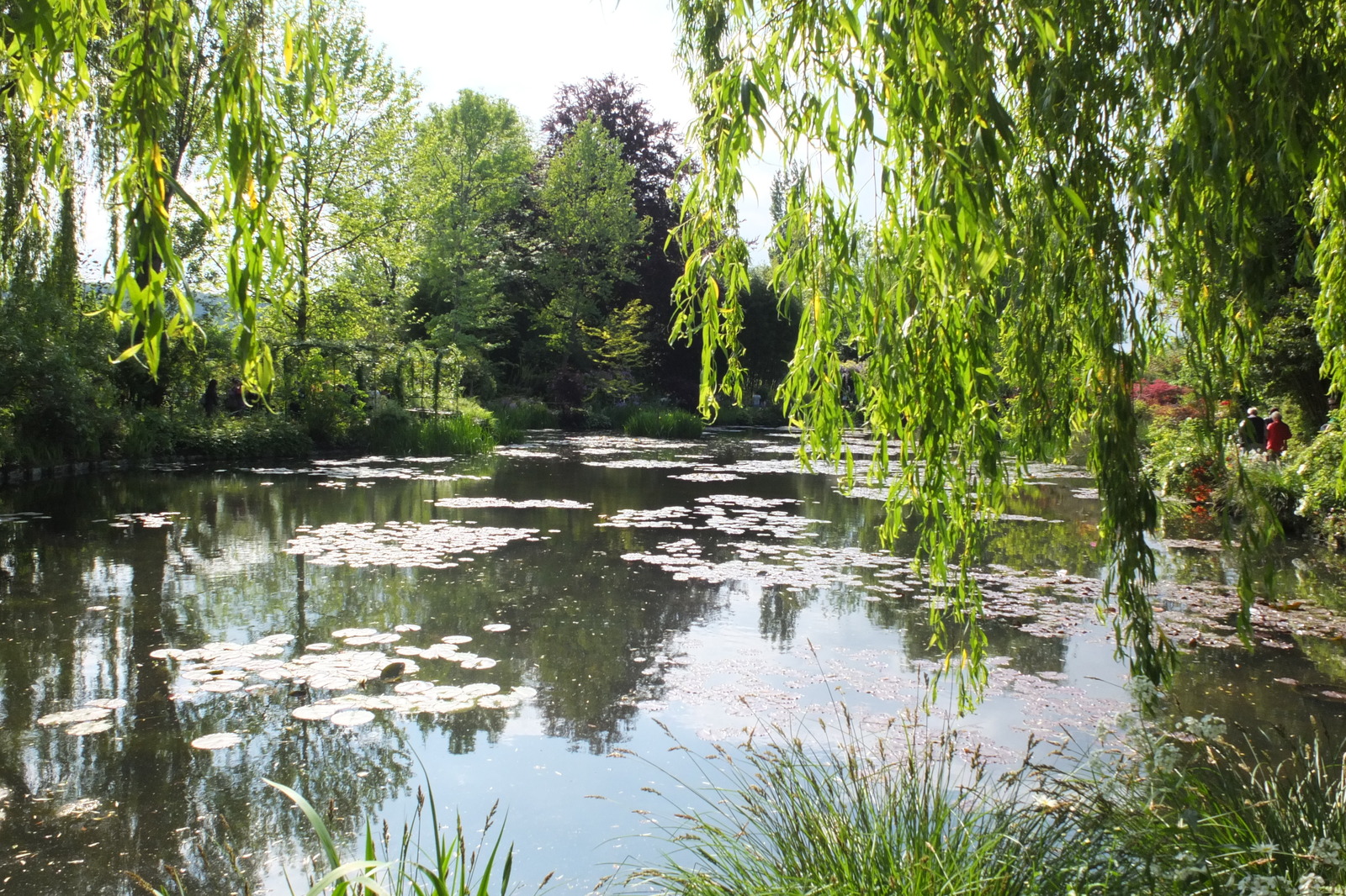 Picture France Giverny 2013-06 92 - Photographer Giverny