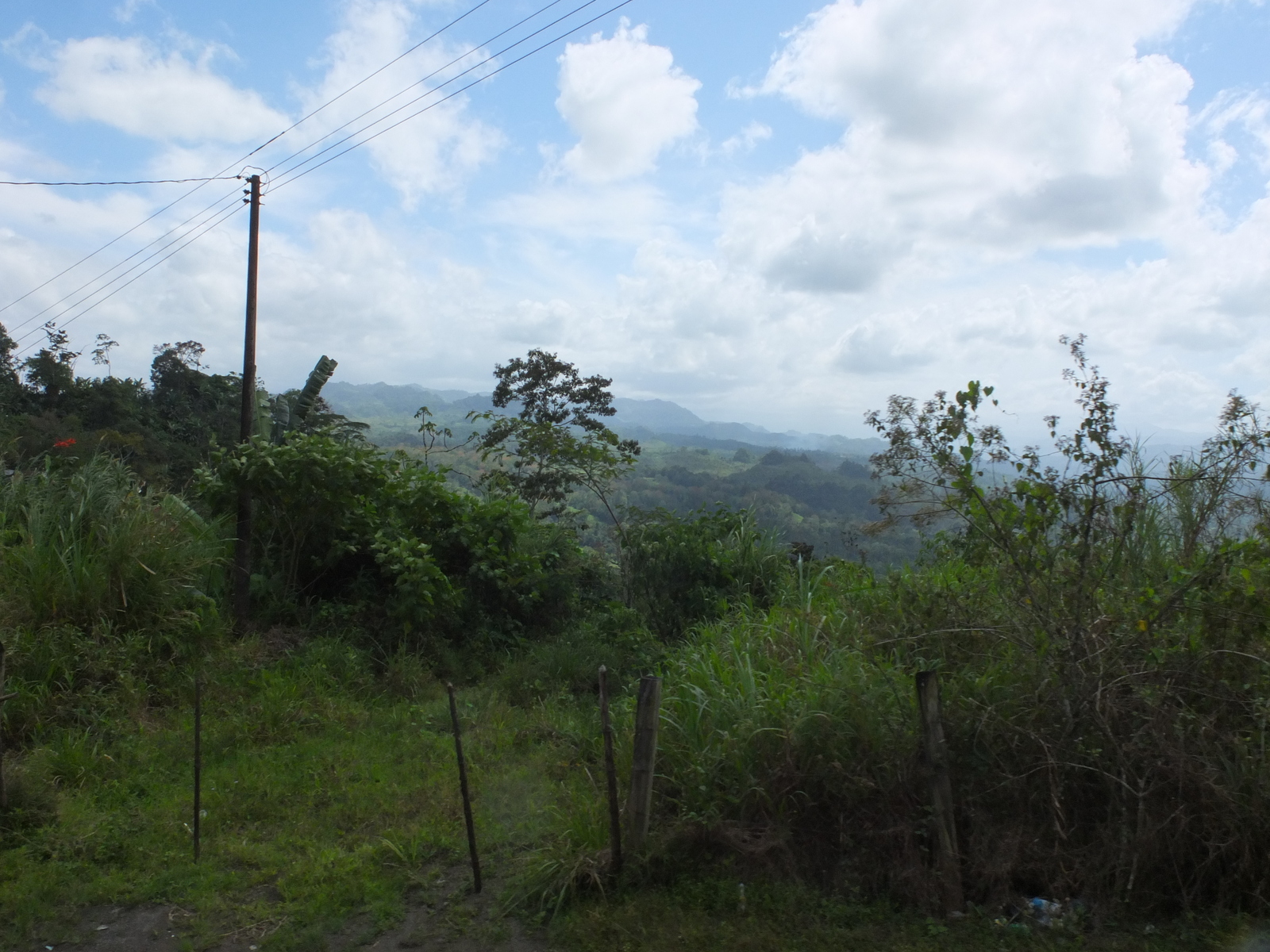 Picture Costa Rica Turrialba 2015-03 78 - Photographer Turrialba