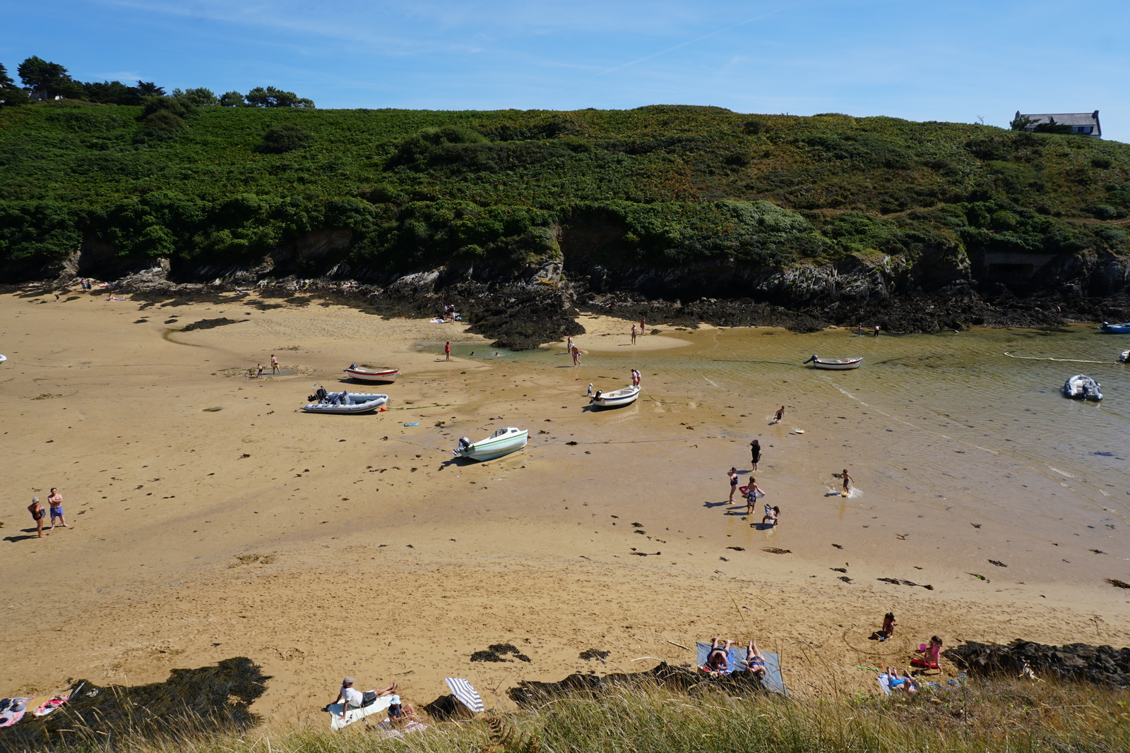 Picture France Belle-Ile 2016-08 238 - Photos Belle-Ile