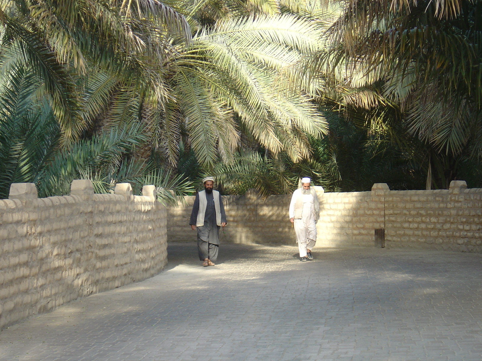 Picture United Arab Emirates Al Ain Al Ain Oasis 2005-03 6 - Photographers Al Ain Oasis