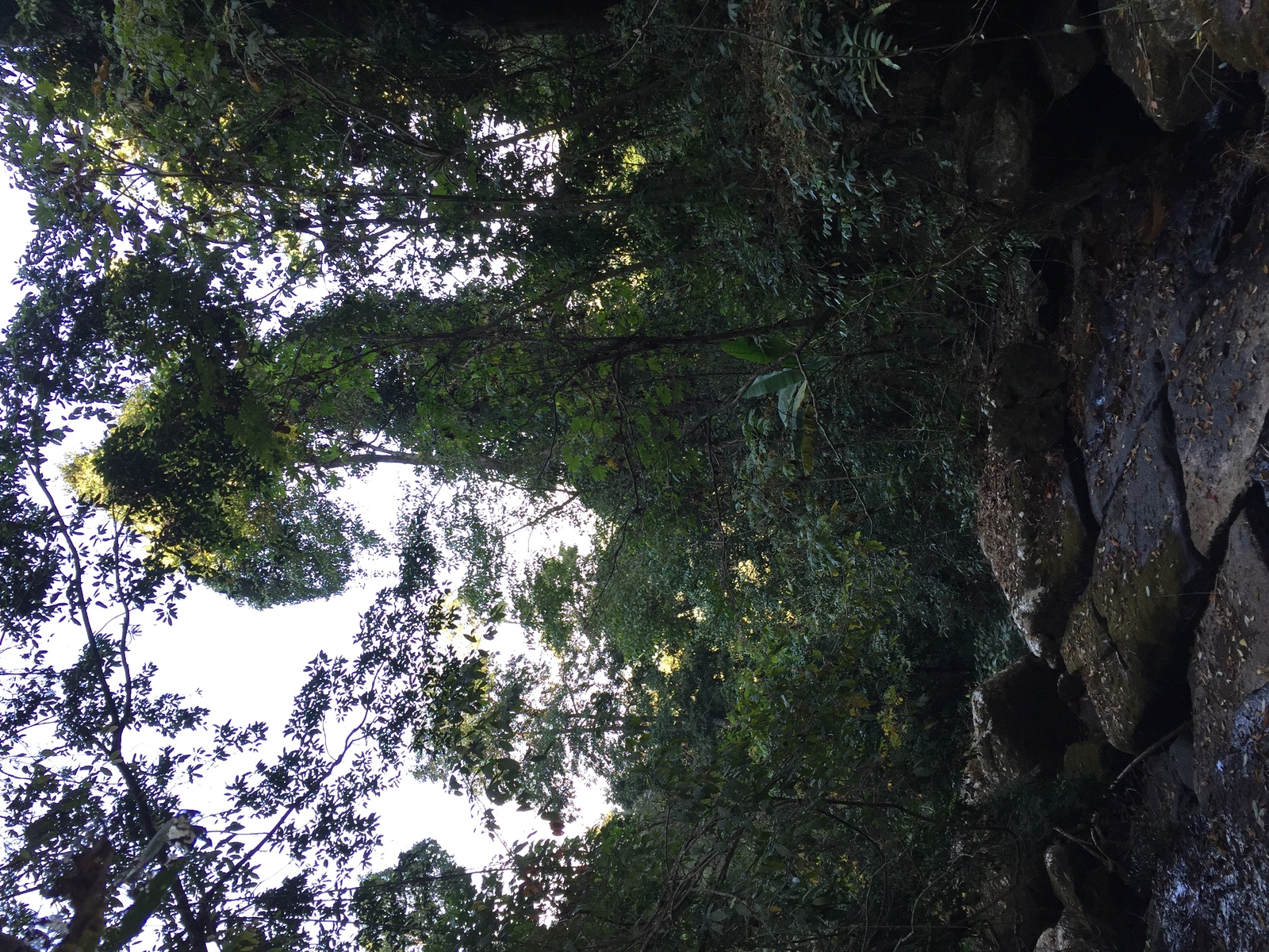 Picture Thailand Phu Hin Rong Kla National Park 2014-12 379 - View Phu Hin Rong Kla National Park