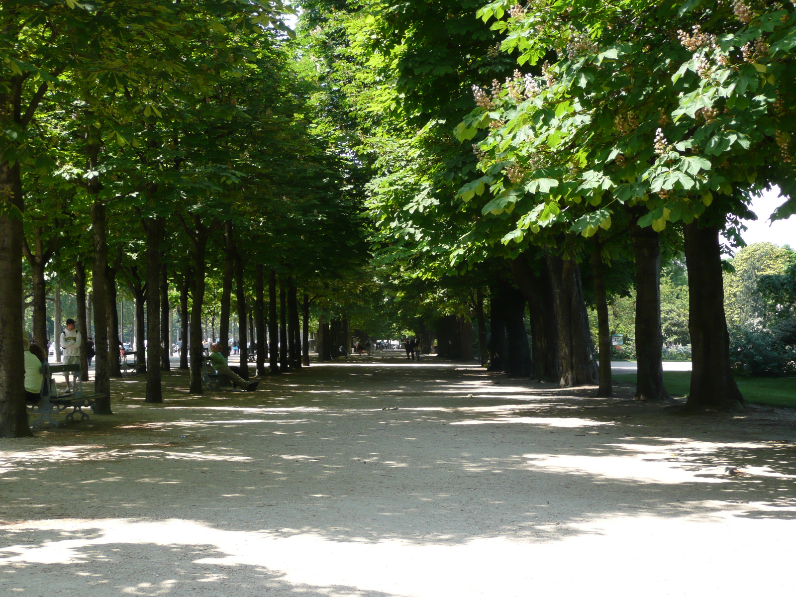 Picture France Paris Champs Elysees 2007-05 3 - Visit Champs Elysees