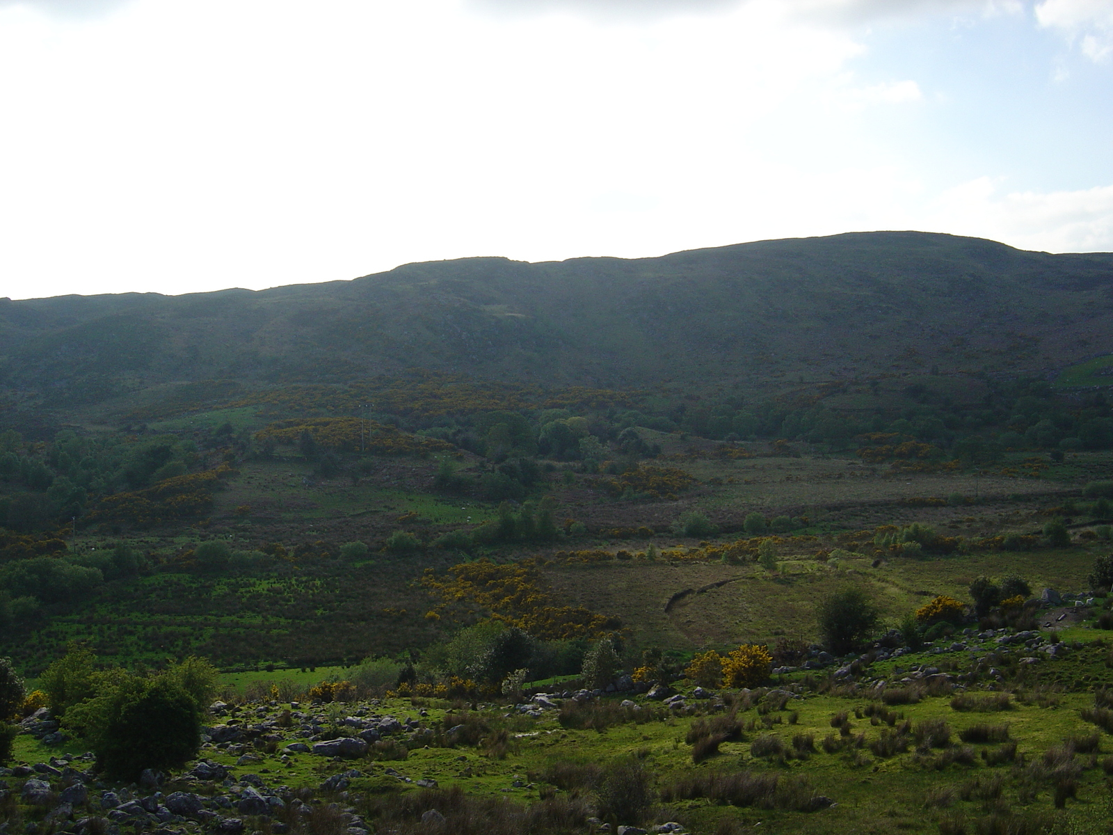 Picture Ireland Kerry Caragh Lake 2004-05 8 - Travel Caragh Lake