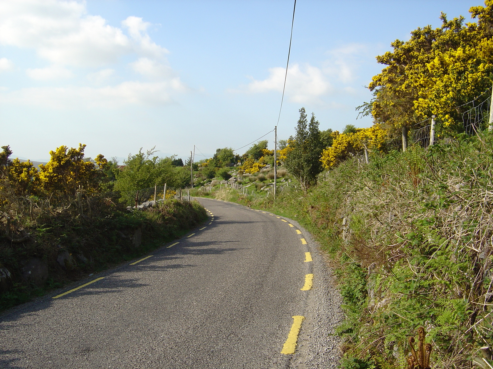 Picture Ireland Kerry Caragh Lake 2004-05 11 - Car Caragh Lake