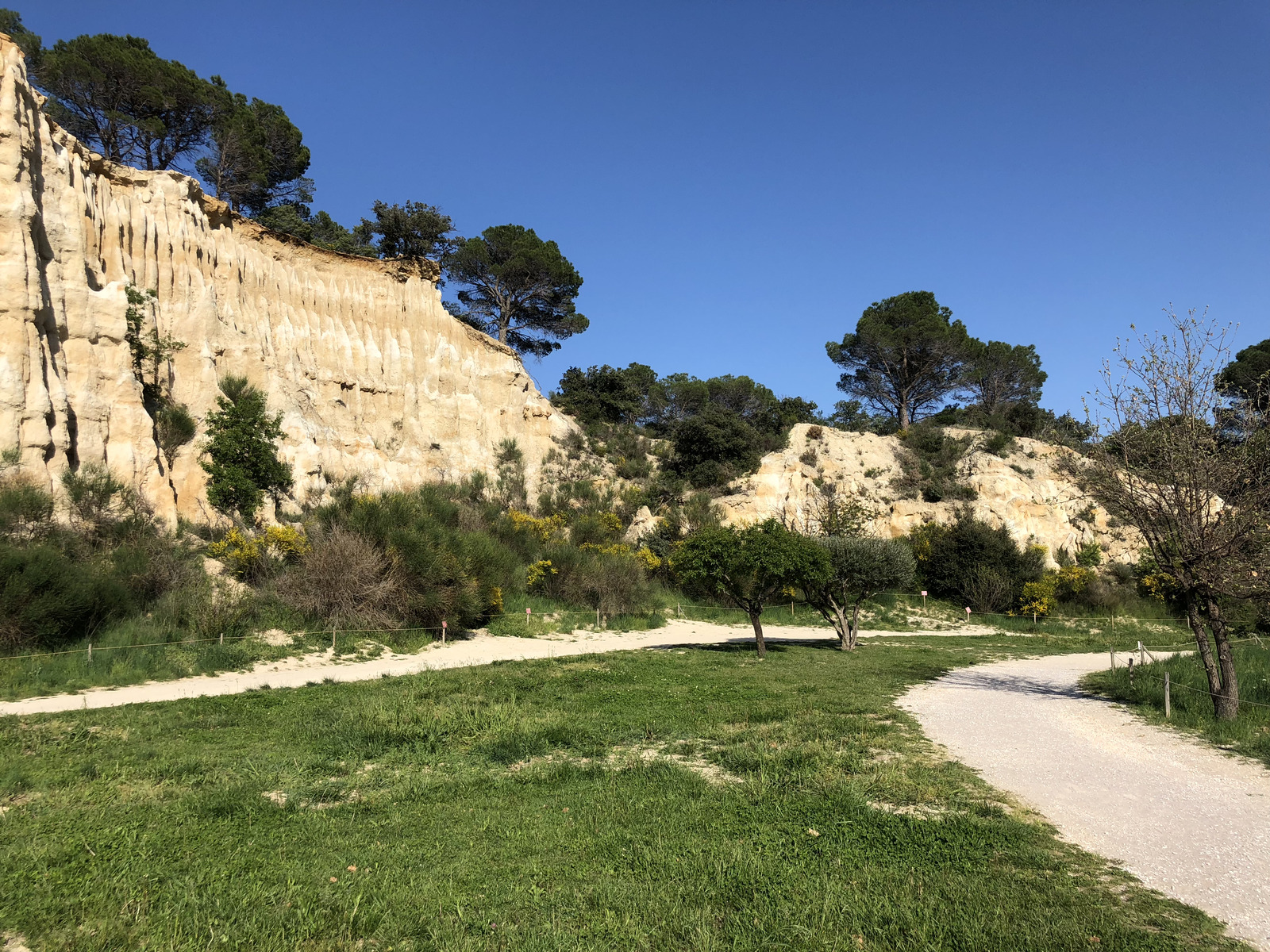 Picture France Orgues d'Ille Sur Tet 2018-04 75 - Flight Orgues d'Ille Sur Tet