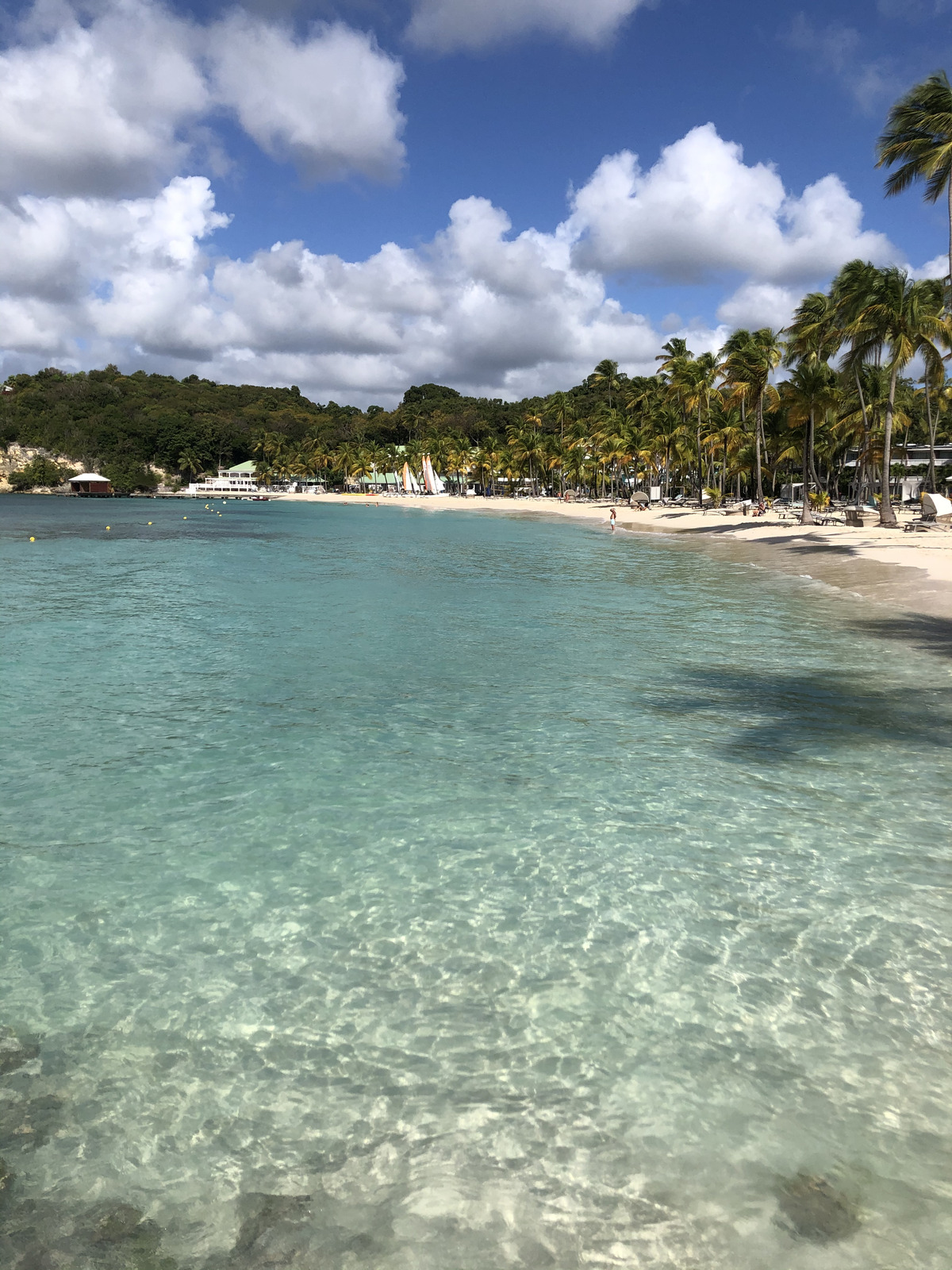 Picture Guadeloupe La Caravelle Beach 2021-02 3 - Sight La Caravelle Beach