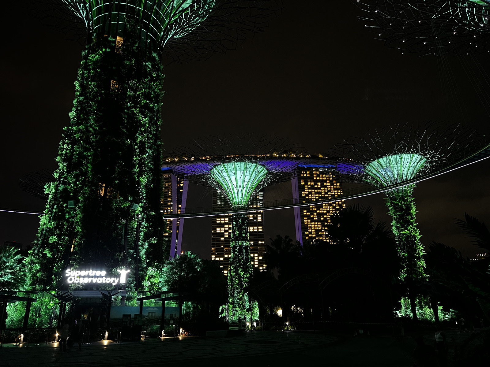 Picture Singapore Garden by the bay 2023-01 10 - Tourist Attraction Garden by the bay