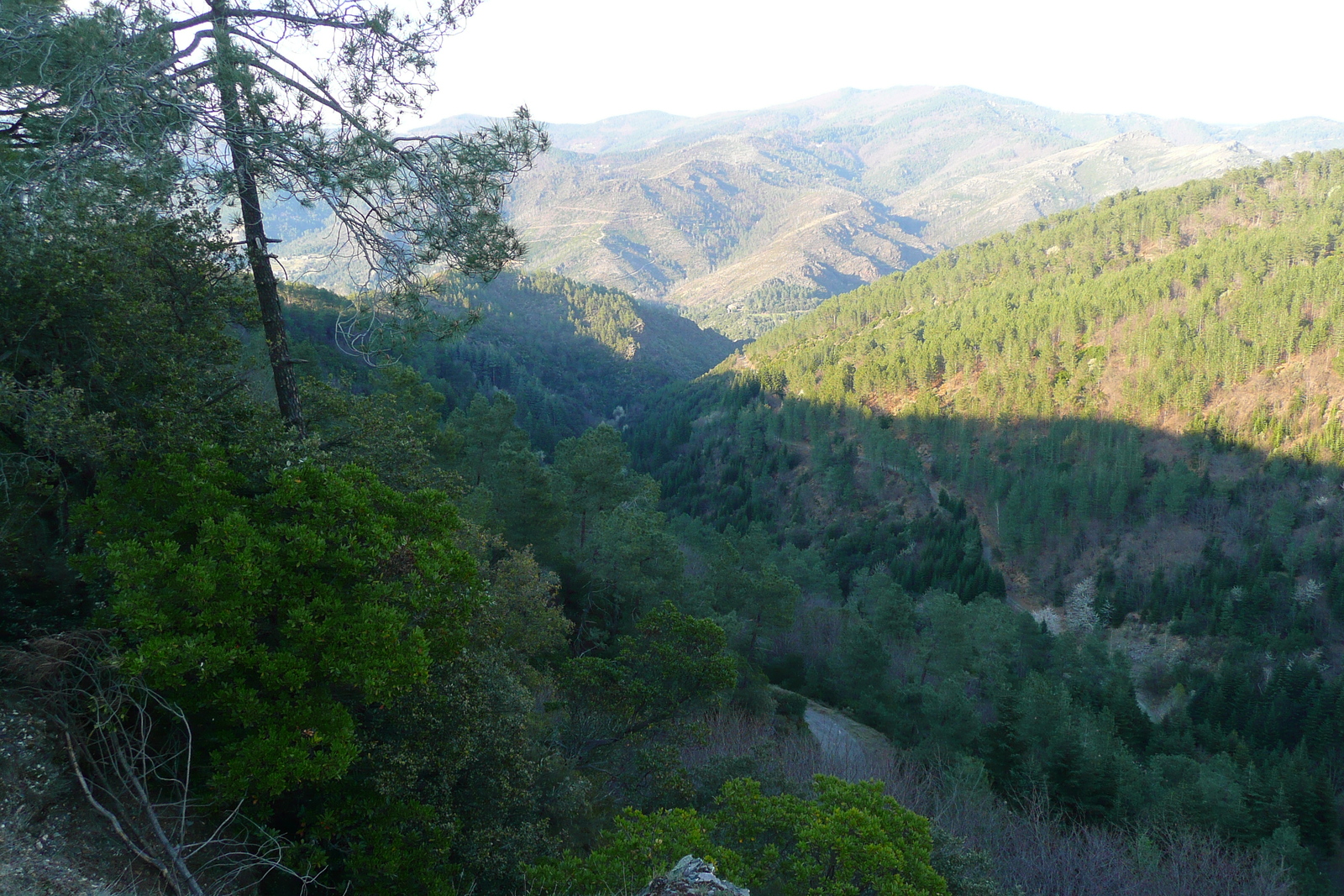 Picture France Cevennes Mountains 2008-04 15 - View Cevennes Mountains