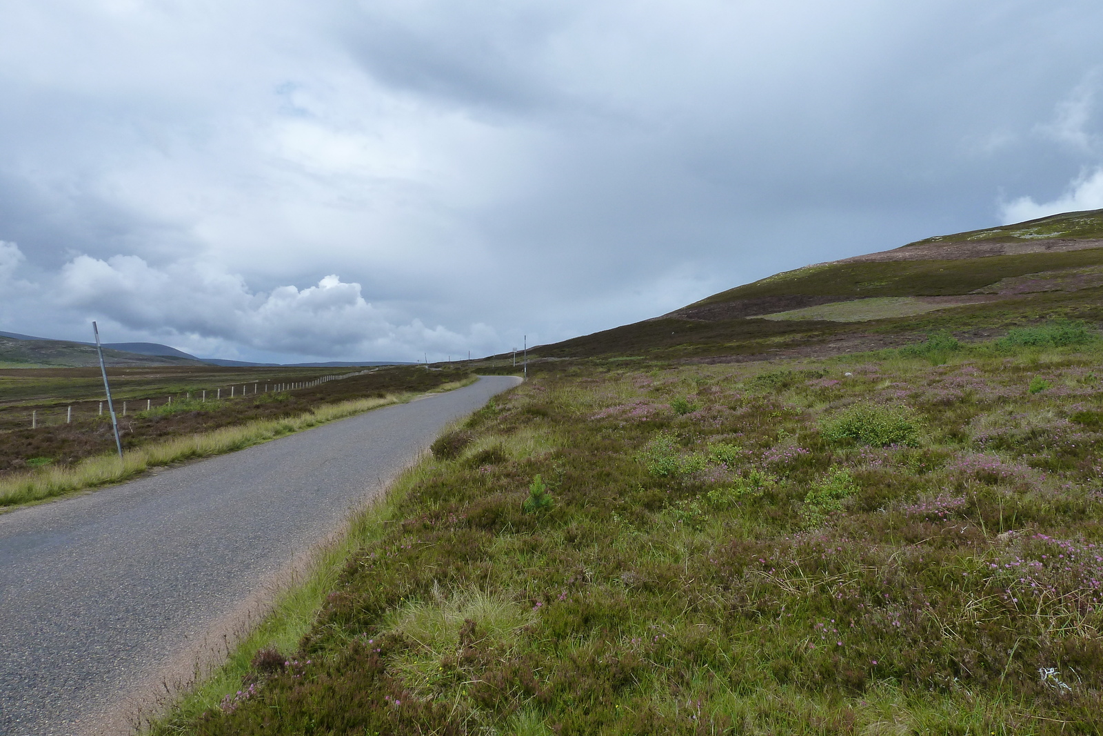 Picture United Kingdom Cairngorms National Park 2011-07 14 - Photos Cairngorms National Park