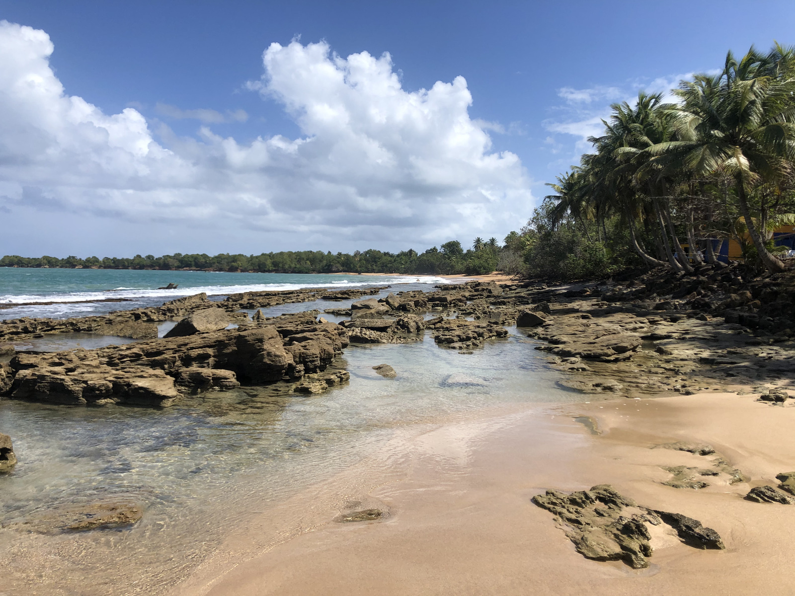 Picture Guadeloupe Clugny Beach 2021-02 8 - Perspective Clugny Beach