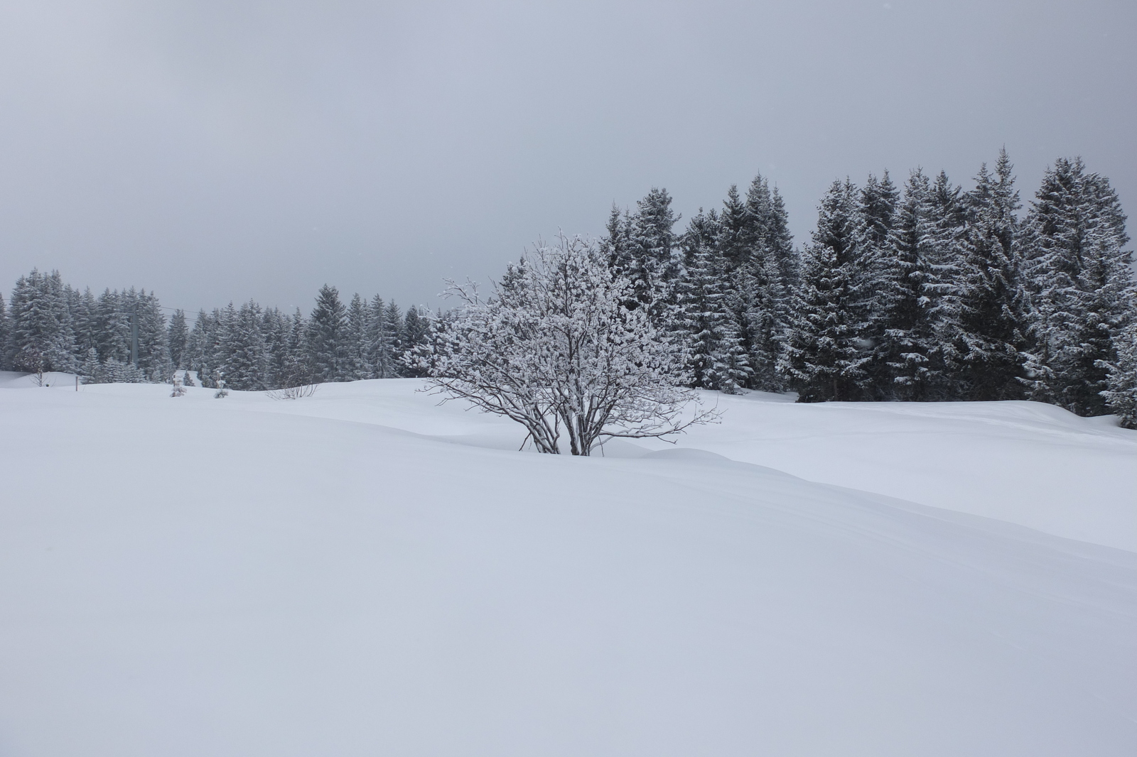 Picture France Les 3 Vallees 2013-03 114 - Sight Les 3 Vallees