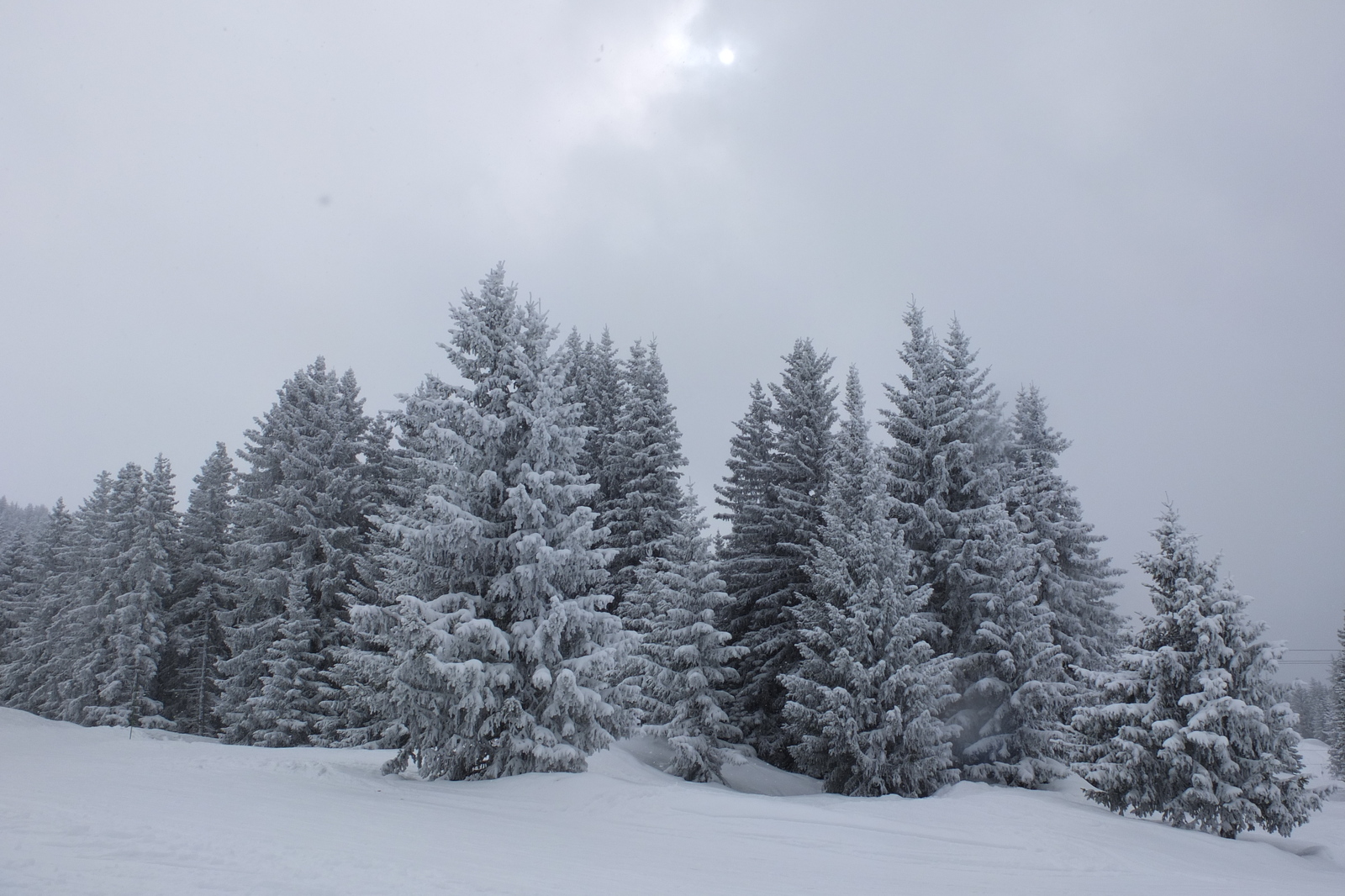 Picture France Les 3 Vallees 2013-03 102 - Journey Les 3 Vallees