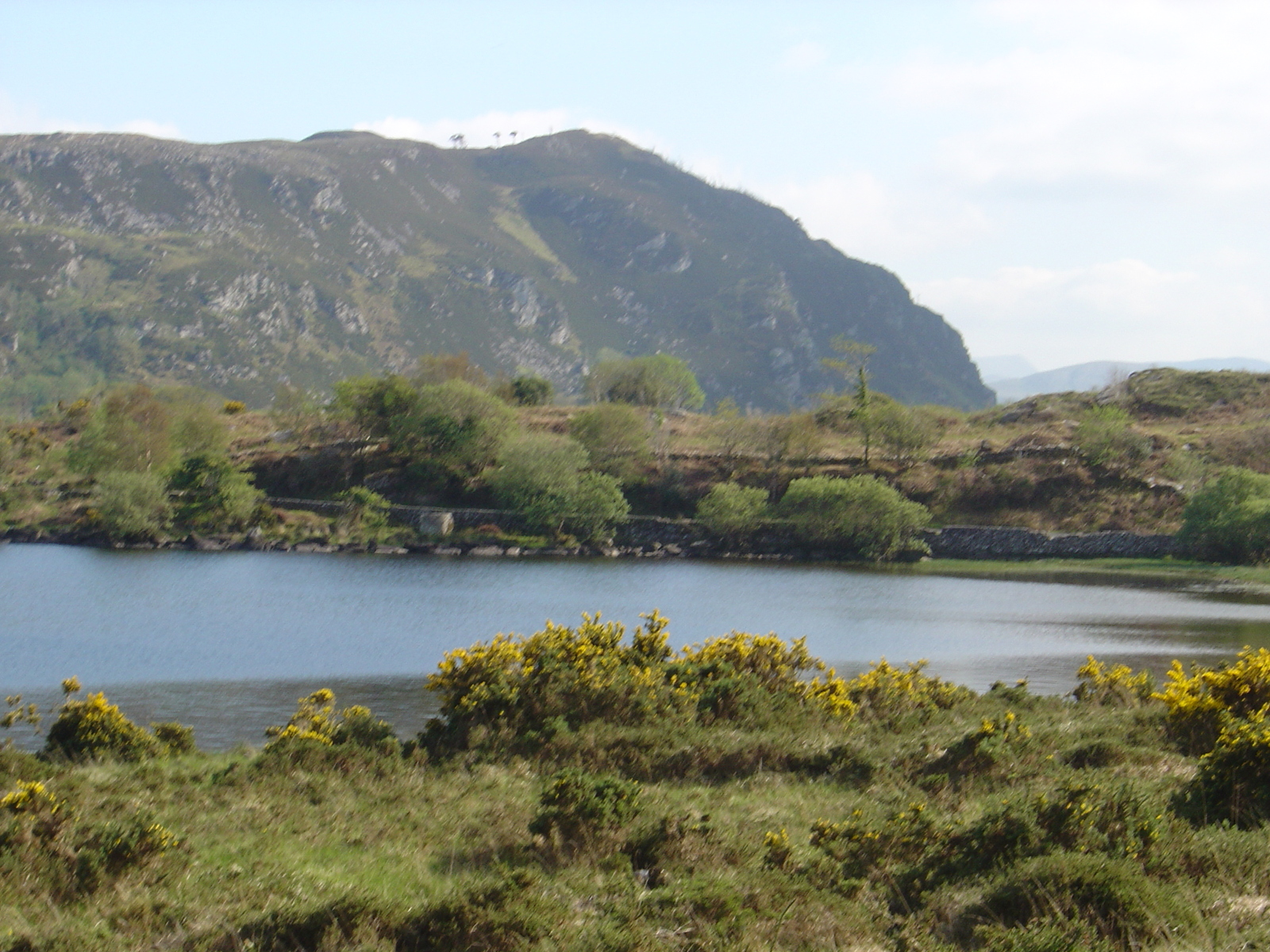 Picture Ireland Kerry Caragh Lake 2004-05 17 - Travels Caragh Lake