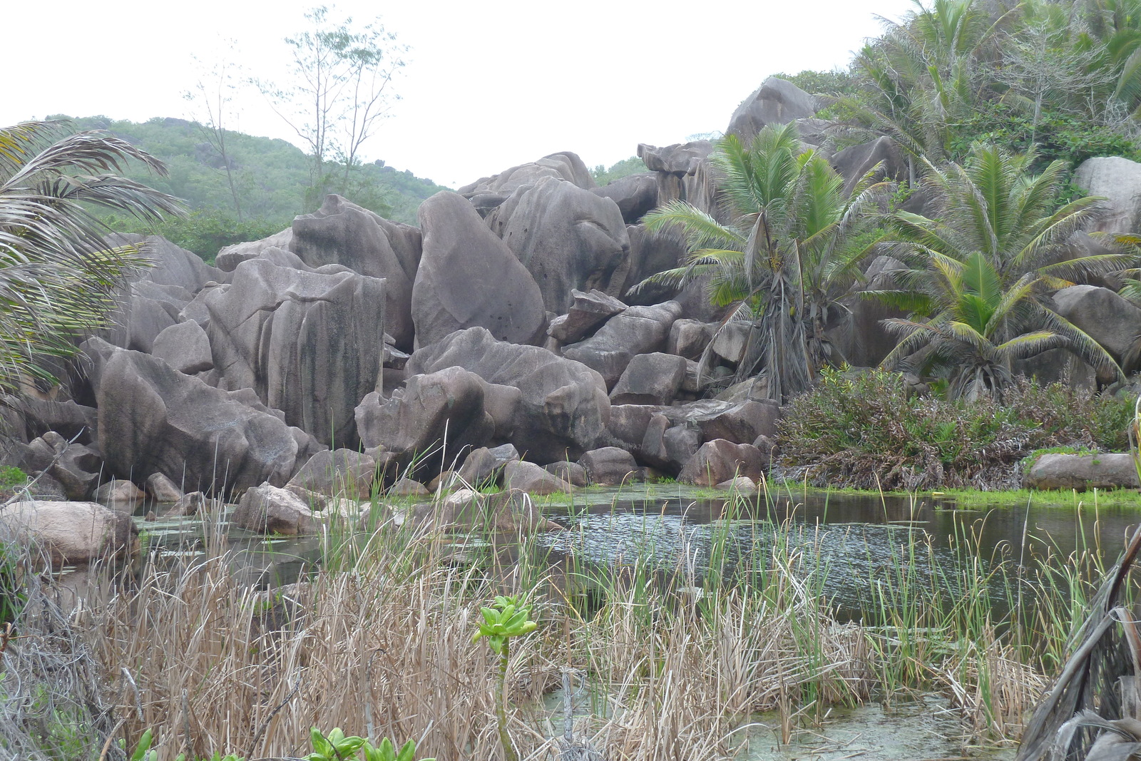 Picture Seychelles La Digue 2011-10 210 - Pictures La Digue