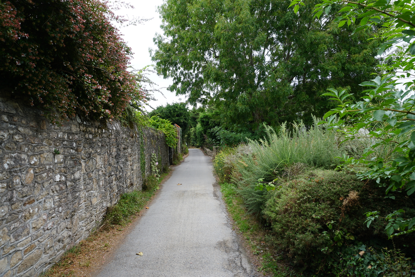 Picture France Ile-aux-Moines 2016-08 2 - View Ile-aux-Moines