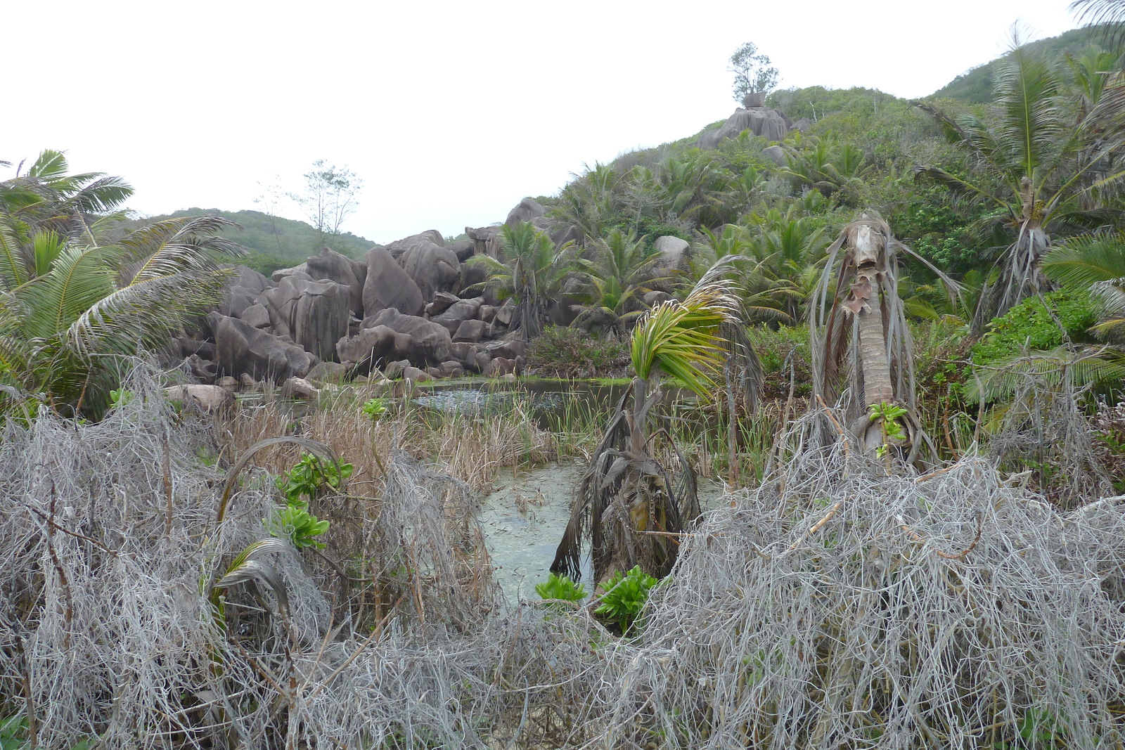 Picture Seychelles La Digue 2011-10 198 - Photographer La Digue