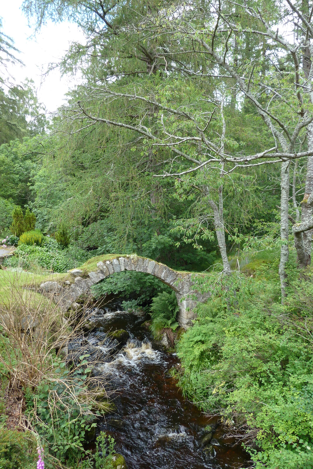 Picture United Kingdom Scotland 2011-07 192 - Photos Scotland