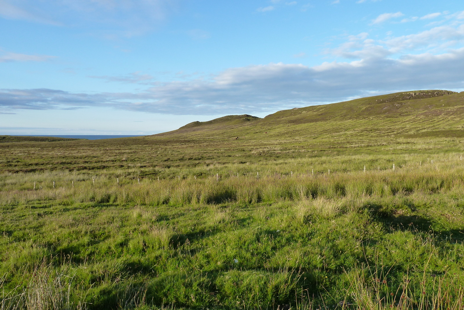 Picture United Kingdom Scotland 2011-07 236 - Photo Scotland