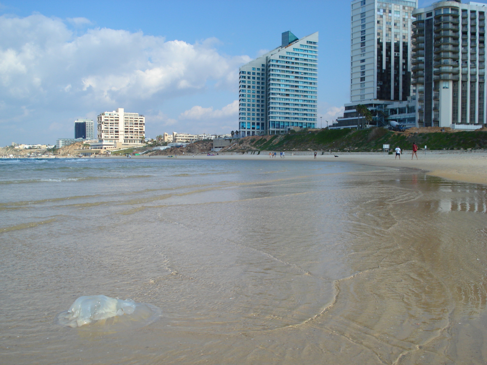 Picture Israel Herzliya 2006-12 99 - Perspective Herzliya