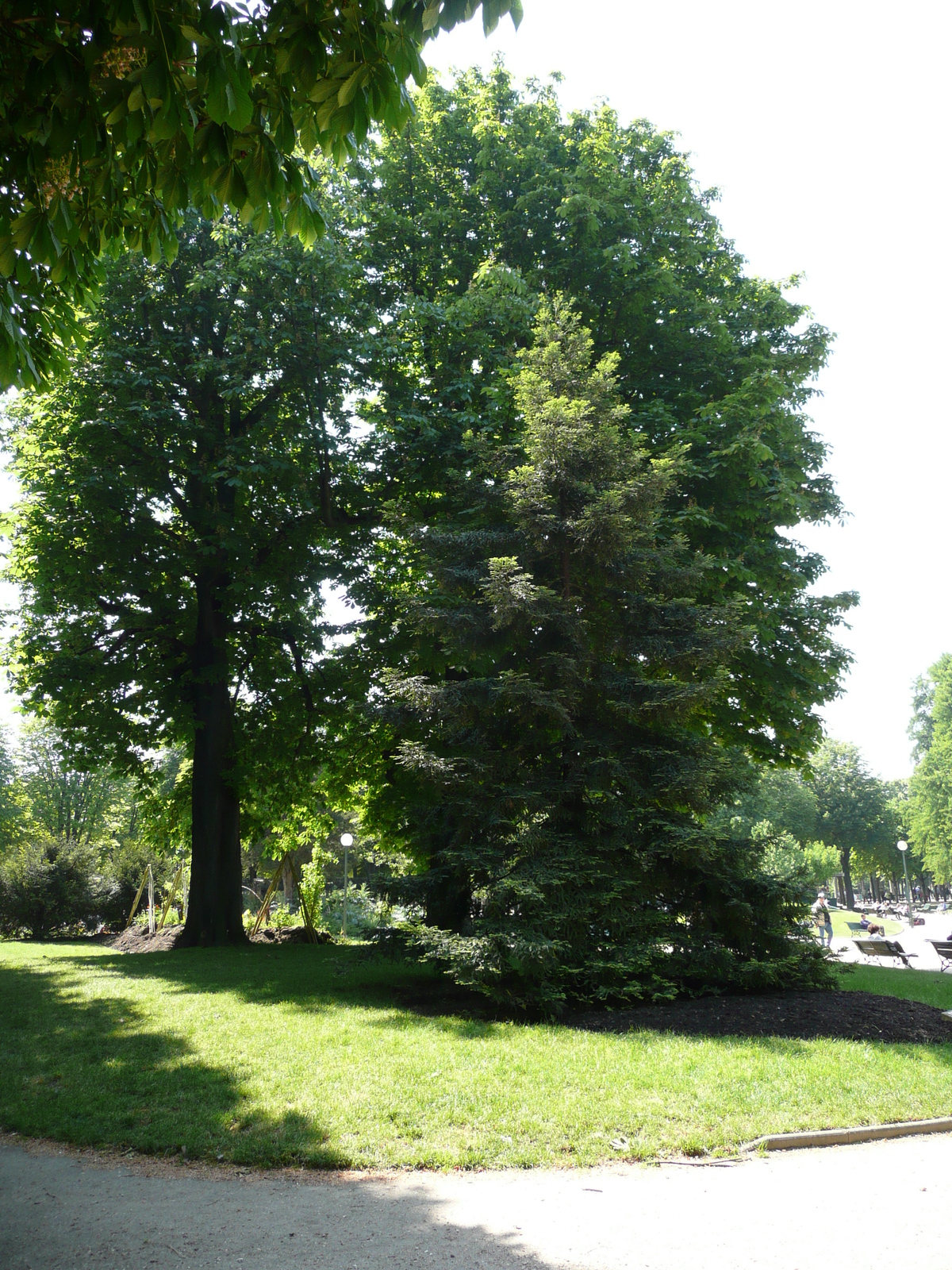 Picture France Paris Champs Elysees 2007-05 21 - Views Champs Elysees