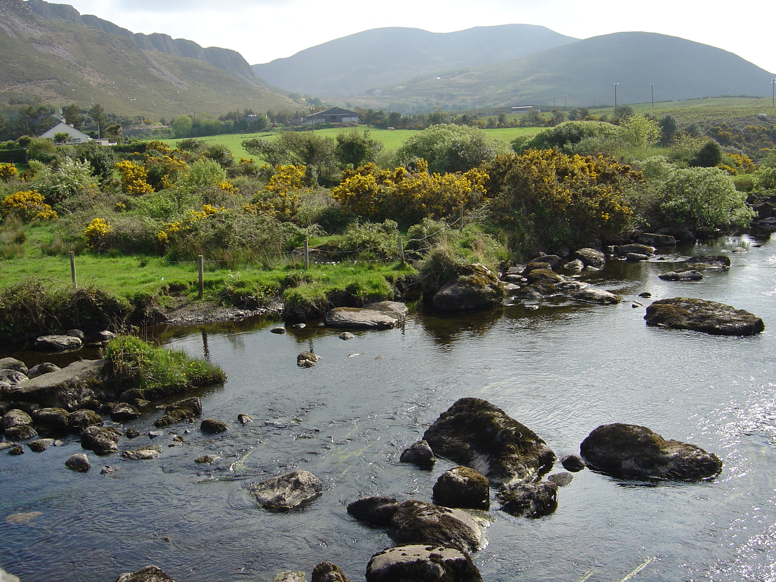 Picture Ireland Kerry Caragh Lake 2004-05 31 - Photos Caragh Lake