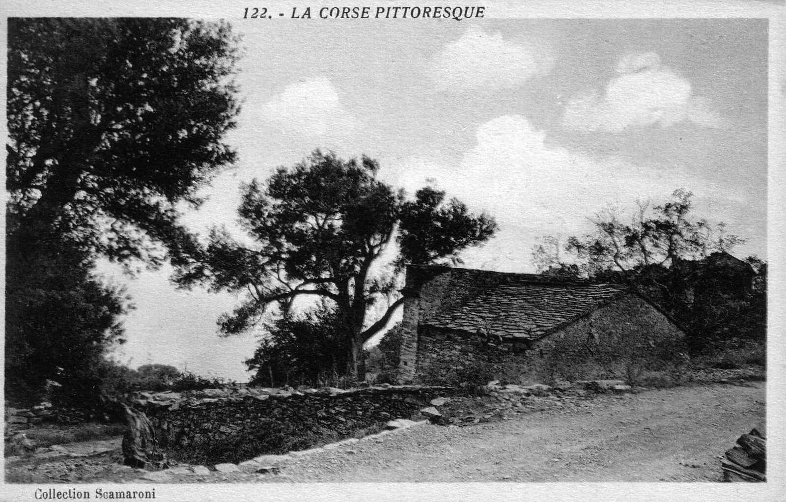 Picture France Corsica Old Postcards 1900-01 275 - Store Old Postcards