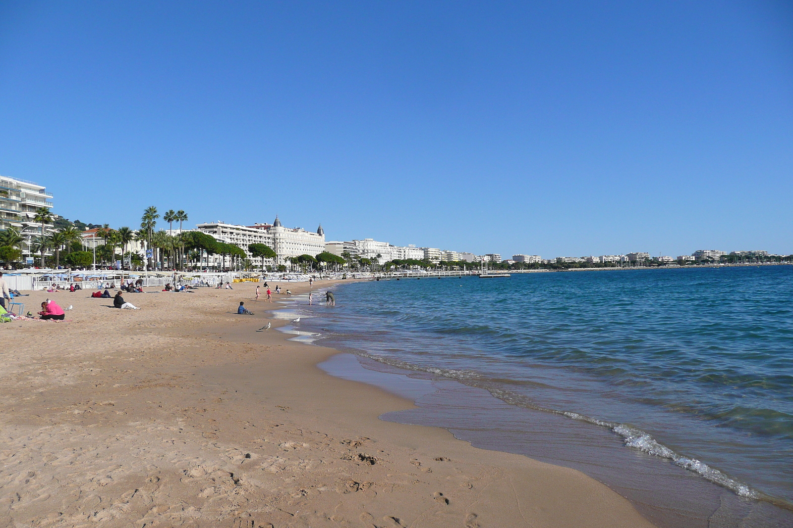 Picture France Cannes Croisette 2007-10 57 - Photos Croisette