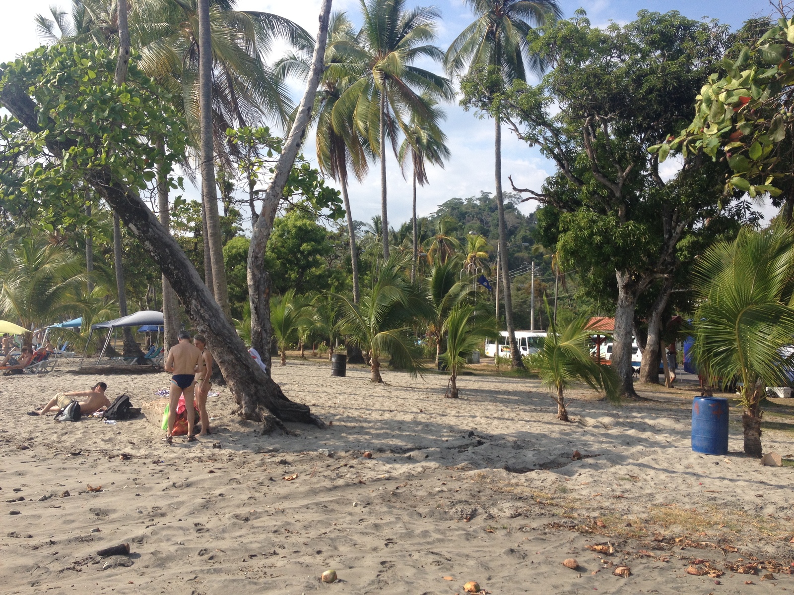 Picture Costa Rica Manuel Antonio 2015-03 365 - Map Manuel Antonio