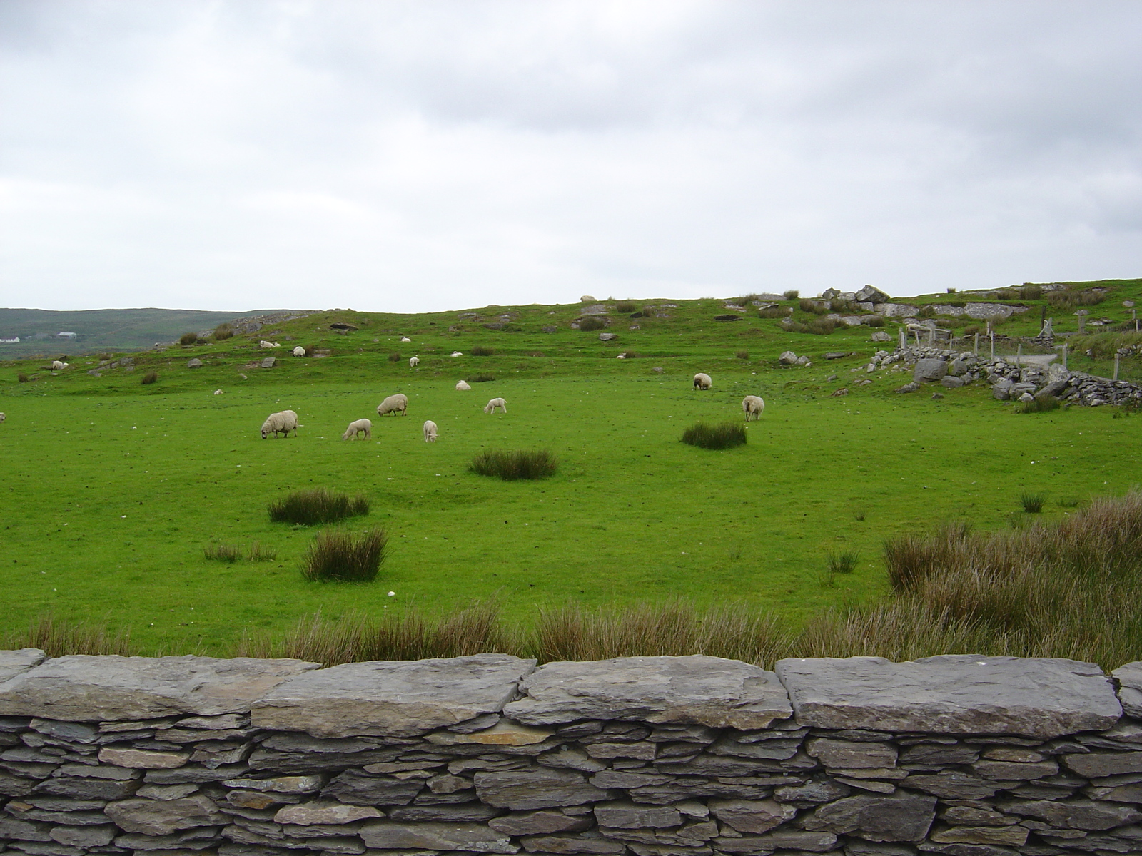 Picture Ireland Kerry Kells 2004-05 0 - Sightseeing Kells