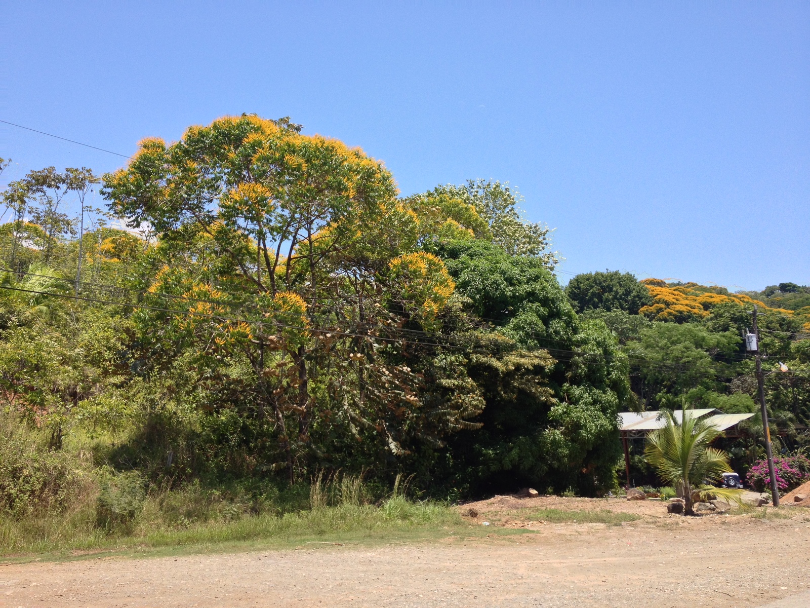 Picture Costa Rica Pacific Border 2015-03 11 - Views Pacific Border