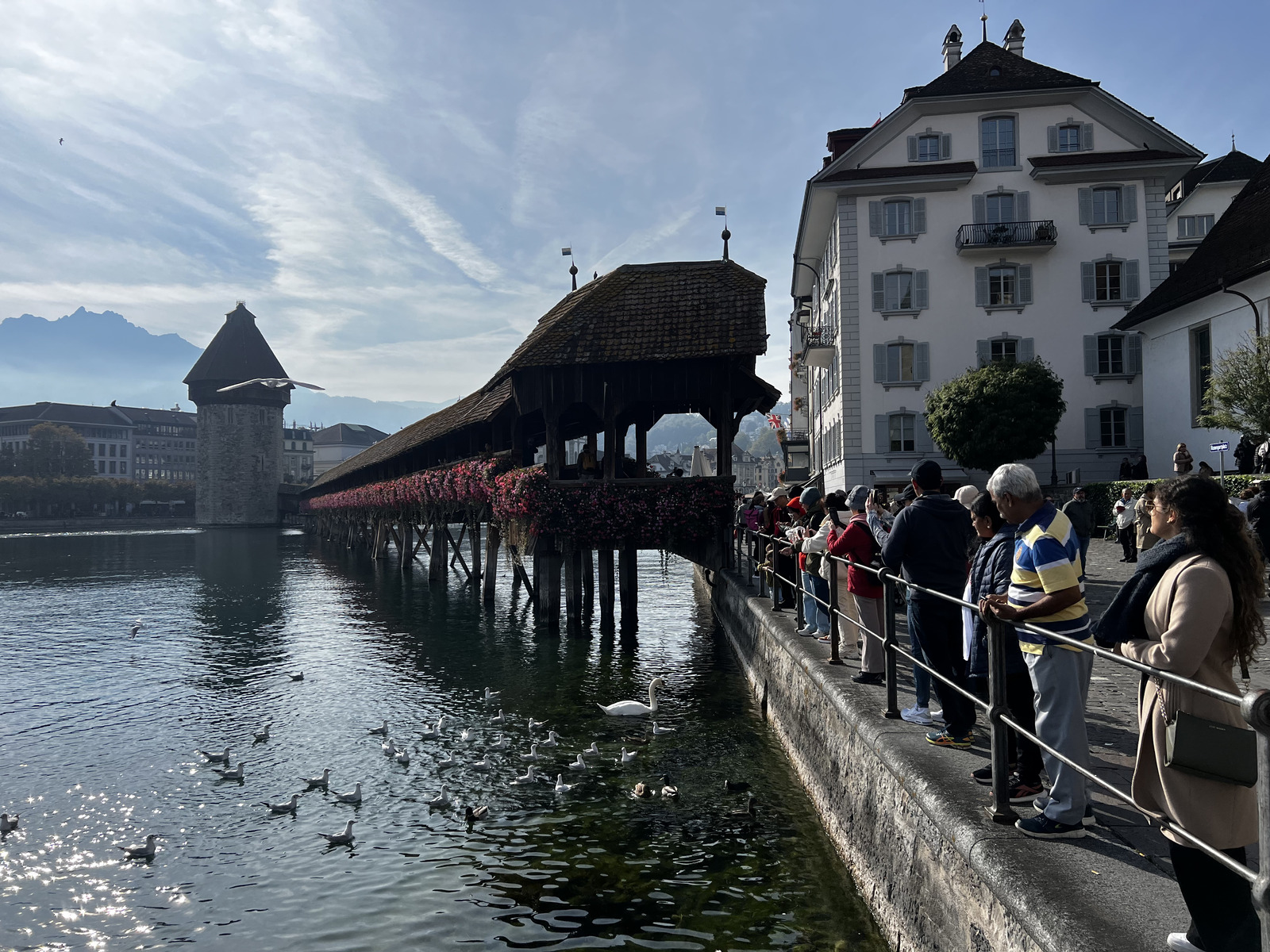 Picture Swiss Luzern 2023-10 48 - Tourist Luzern