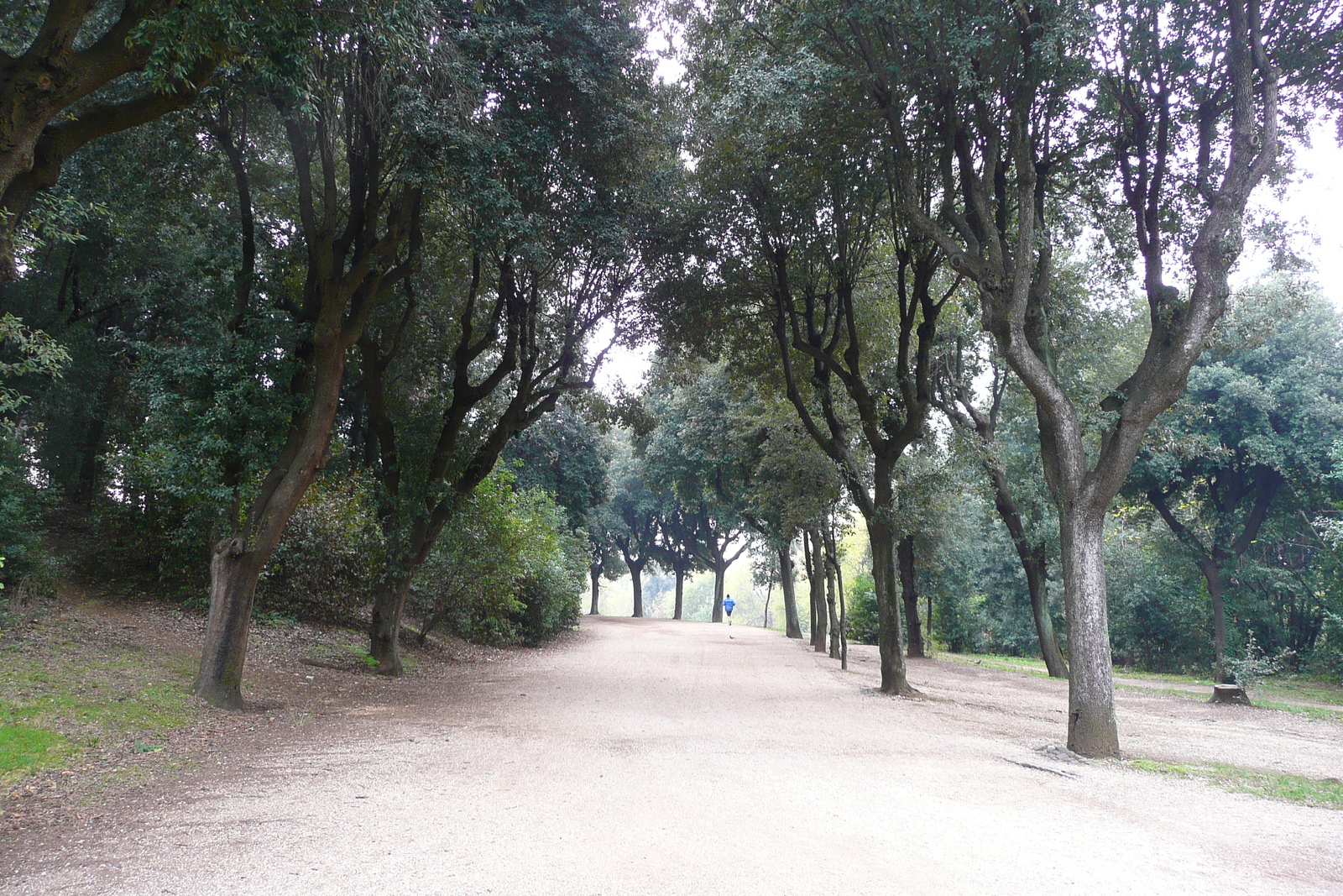 Picture Italy Rome Villa Doria Pamphili 2007-11 68 - Discover Villa Doria Pamphili