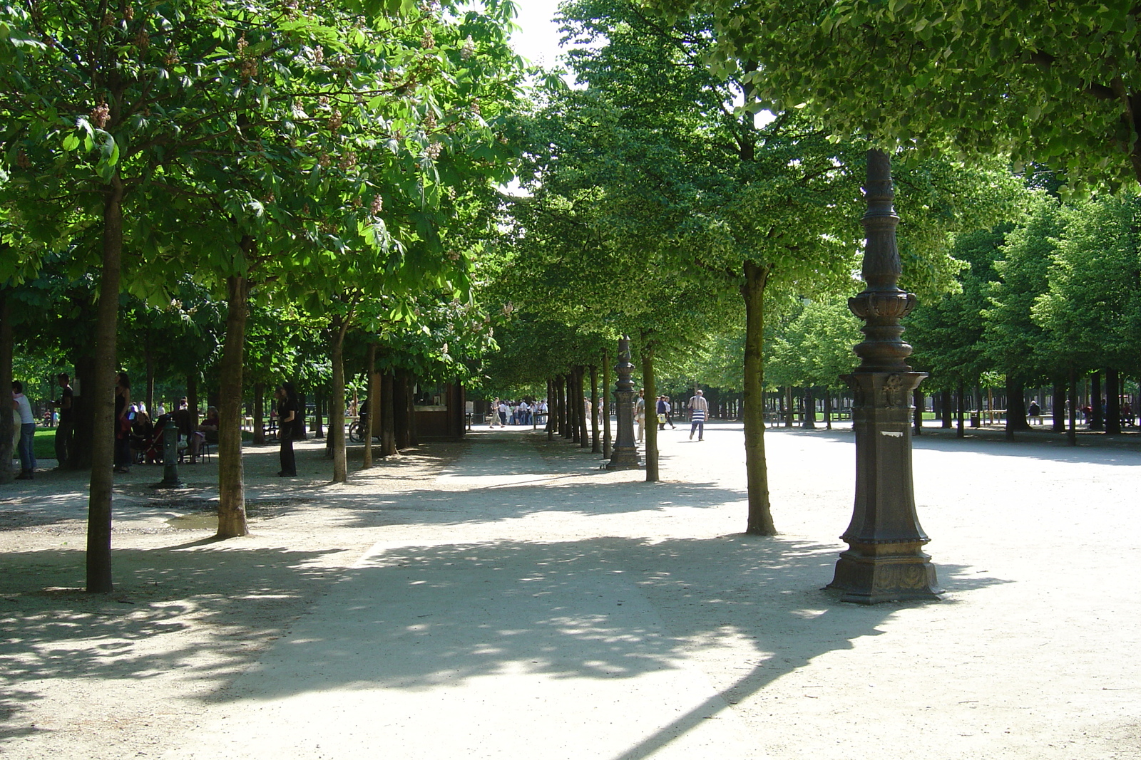 Picture France Paris Garden of Tuileries 2007-05 5 - Views Garden of Tuileries