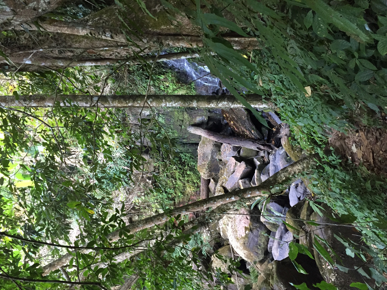 Picture Thailand Phu Hin Rong Kla National Park 2014-12 206 - Perspective Phu Hin Rong Kla National Park