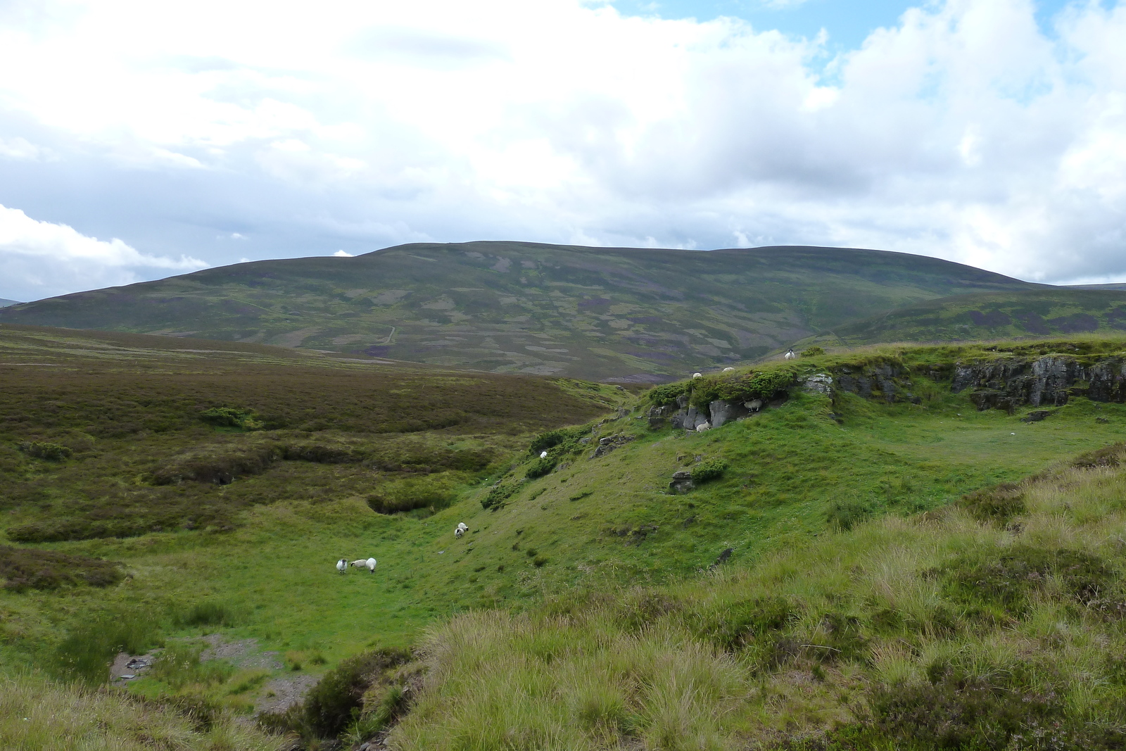 Picture United Kingdom Cairngorms National Park 2011-07 141 - Car Cairngorms National Park