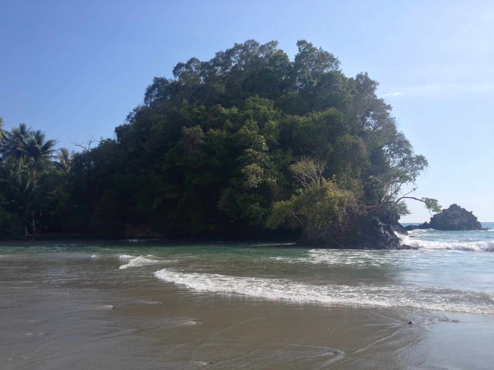 Picture Costa Rica Manuel Antonio 2015-03 255 - Randonee Manuel Antonio