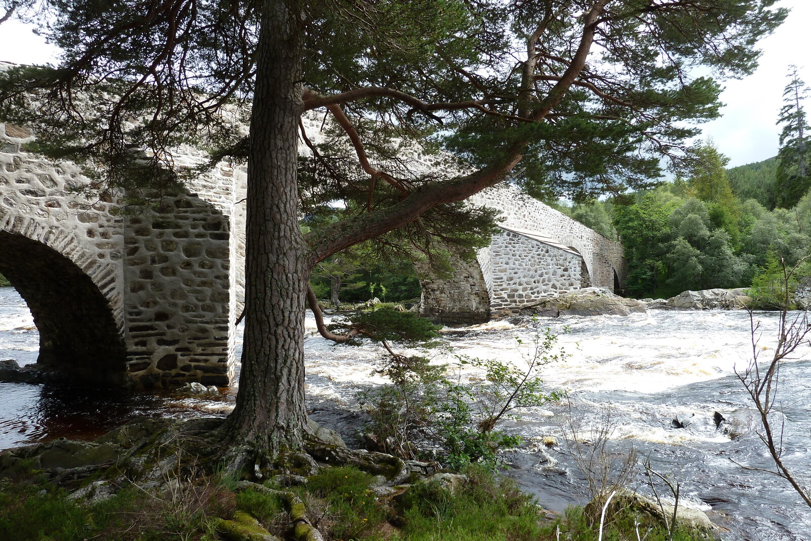 Picture United Kingdom Scotland Cairngorms National Park Invercauld Bridge 2011-07 12 - Picture Invercauld Bridge