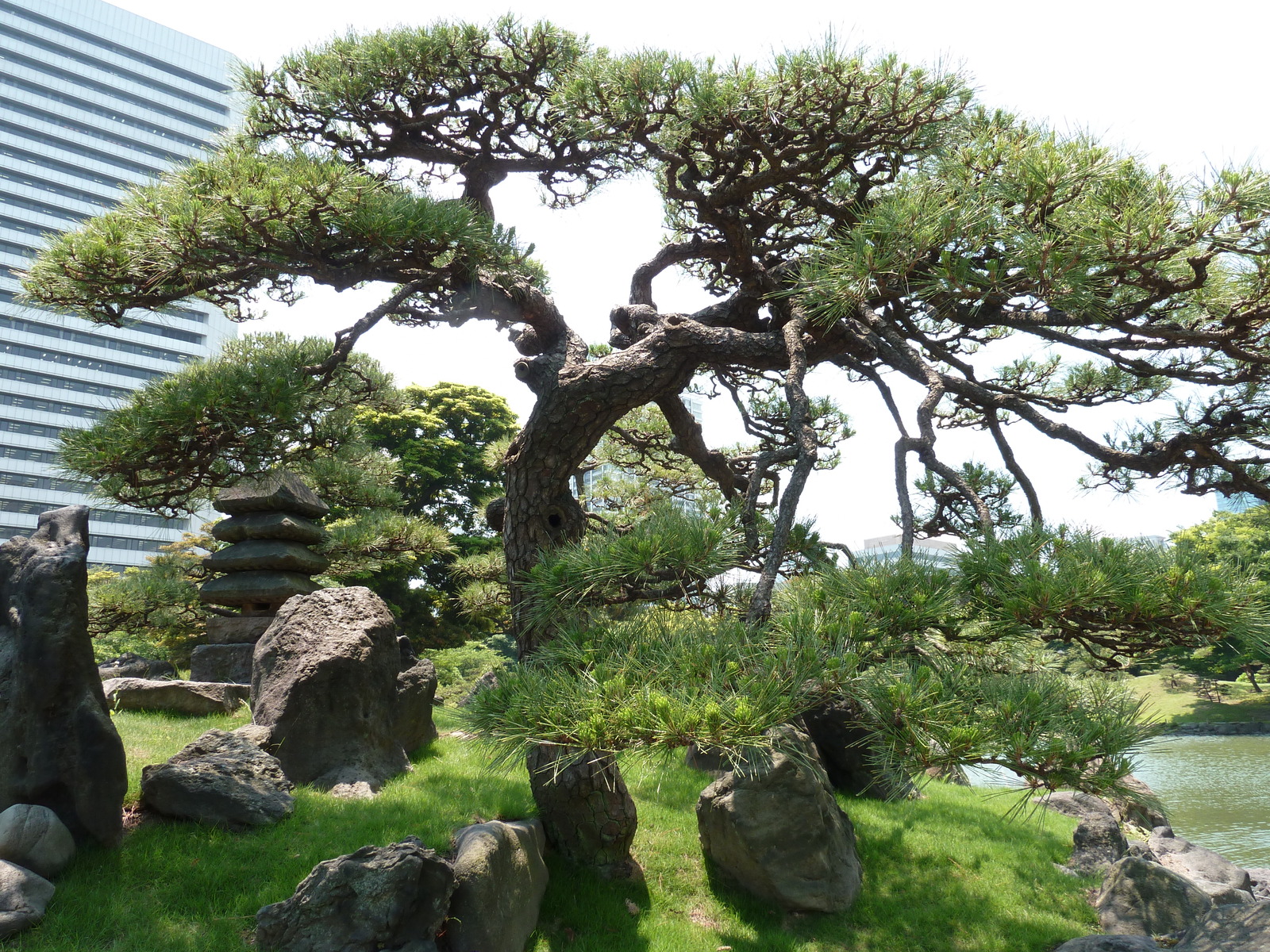 Picture Japan Tokyo Kyu Shiba rikyu Gardens 2010-06 7 - Perspective Kyu Shiba rikyu Gardens