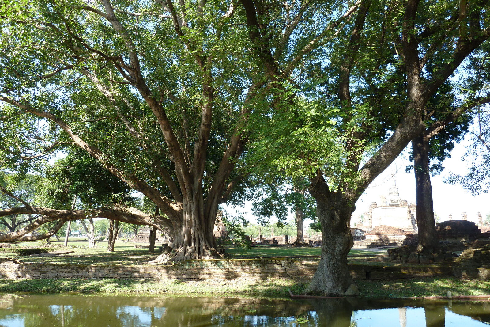 Picture Thailand Sukhothai 2010-12 84 - Perspective Sukhothai